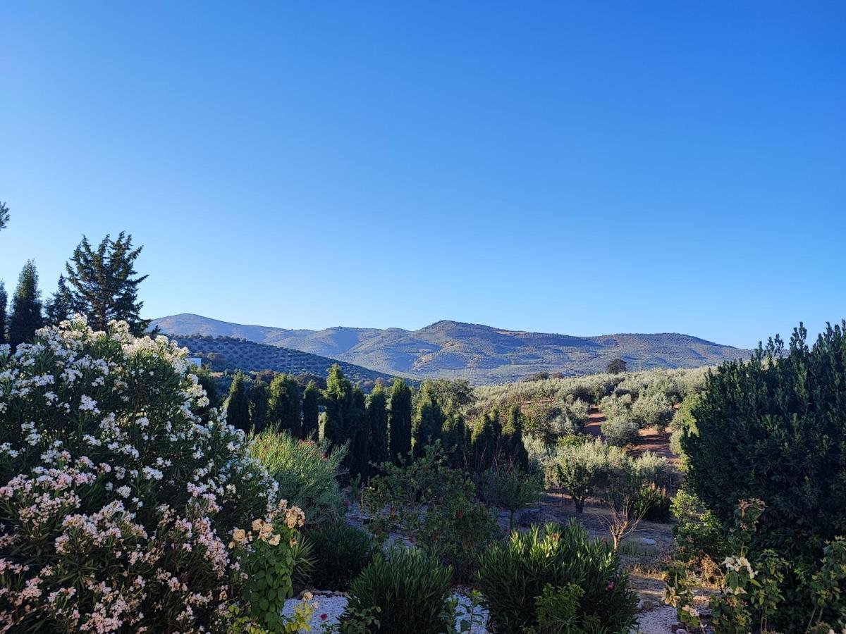 Cortijo Pennymaria Poolside Apartment Near Montefrio With Stunning Views Екстер'єр фото