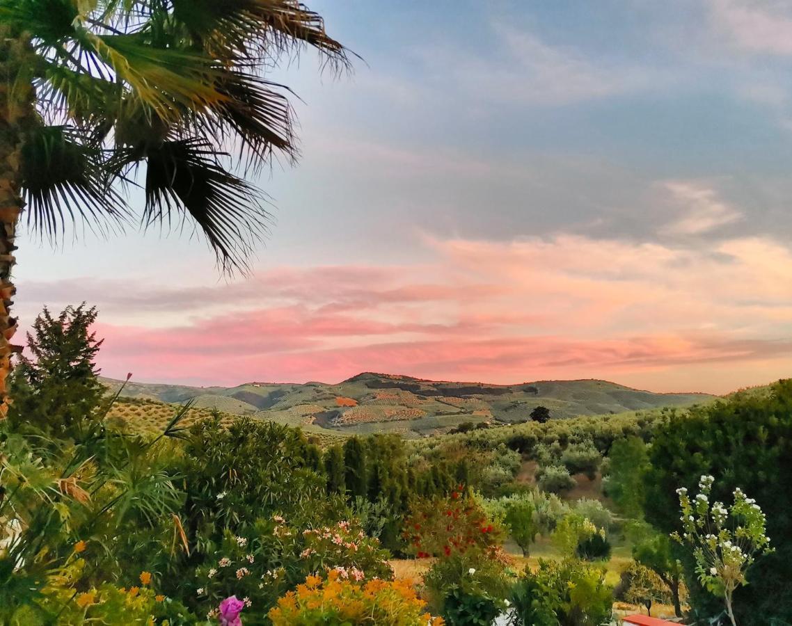 Cortijo Pennymaria Poolside Apartment Near Montefrio With Stunning Views Екстер'єр фото