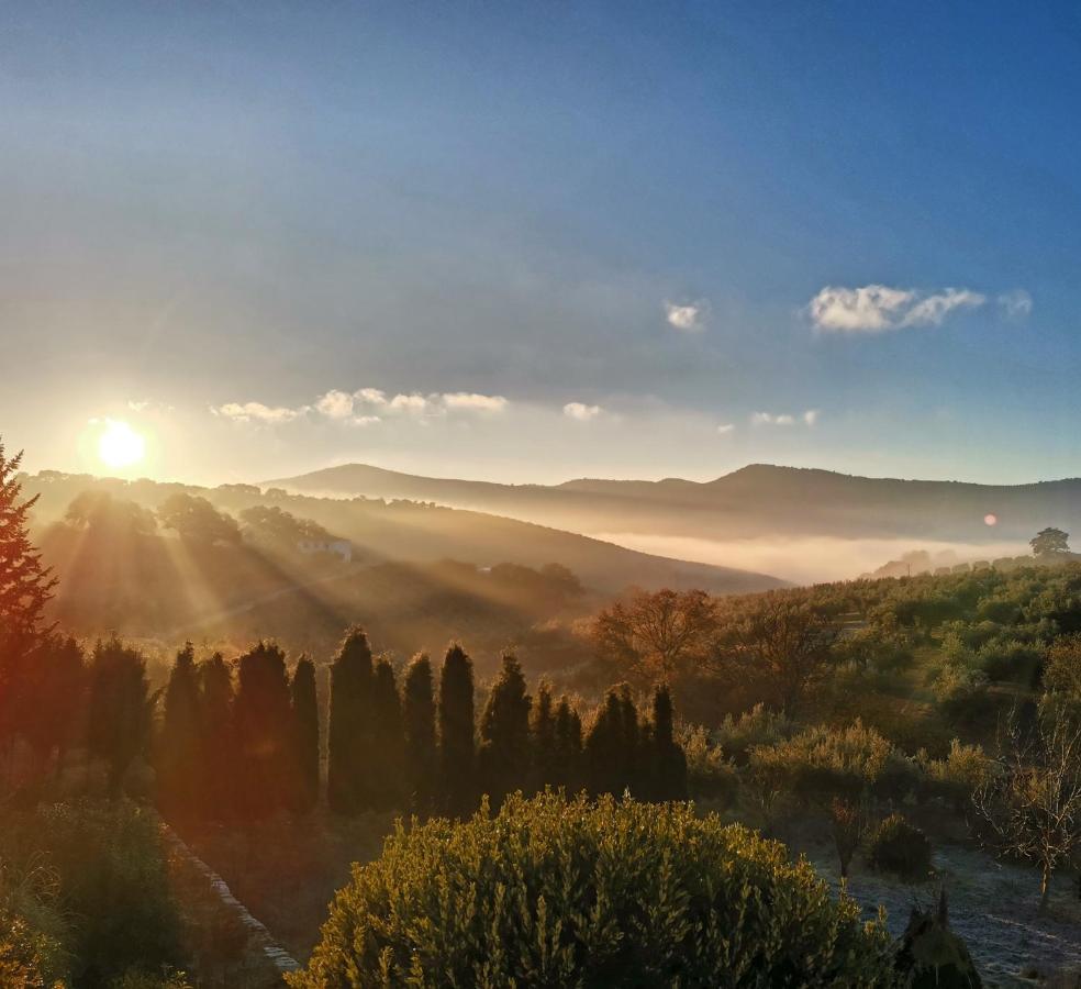Cortijo Pennymaria Poolside Apartment Near Montefrio With Stunning Views Екстер'єр фото
