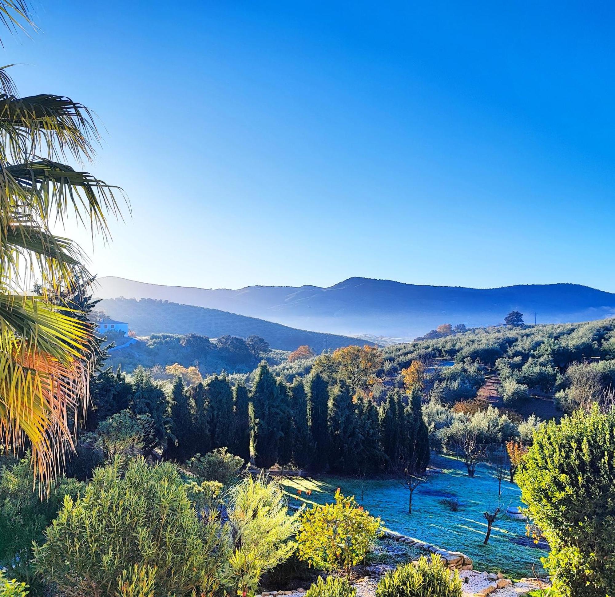 Cortijo Pennymaria Poolside Apartment Near Montefrio With Stunning Views Екстер'єр фото